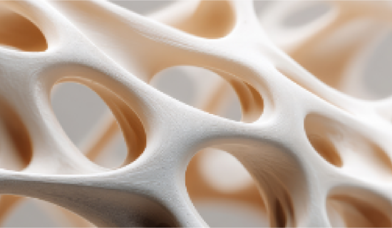 img2_heitzer img2_heitzer